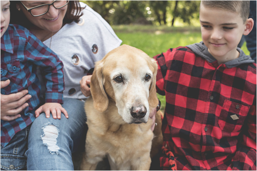 Camden Family Photography, Angie Duncan Photography, www.angieduncan.com.au